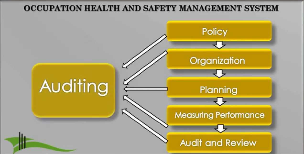 Occupational-health-and-safety-management-systems