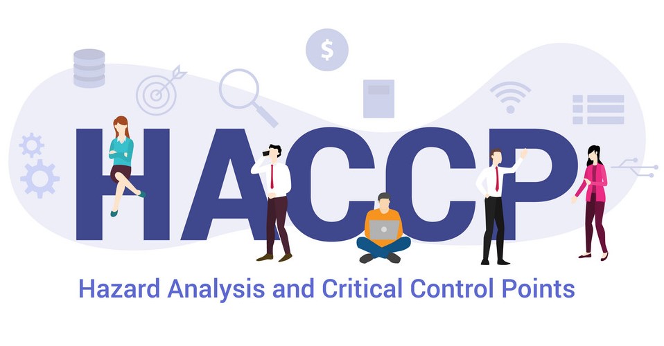 haccp hazard analysis and critical control points concept with big word or text and team people with modern flat style - vector illustration